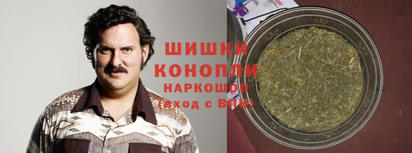 гашик Богородицк