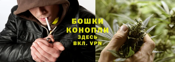 ПСИЛОЦИБИНОВЫЕ ГРИБЫ Богданович