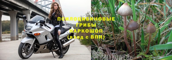 ПСИЛОЦИБИНОВЫЕ ГРИБЫ Богданович