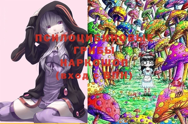 ПСИЛОЦИБИНОВЫЕ ГРИБЫ Богданович