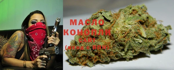 гашик Богородицк
