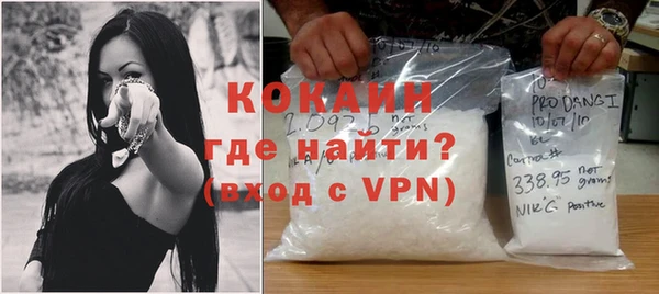 ПСИЛОЦИБИНОВЫЕ ГРИБЫ Богданович