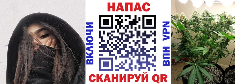 Марихуана семена  Кстово 